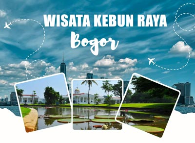 Wisata Kebun Raya Bogor - Pesona Oase Hijau di Jantung Kota Hujan